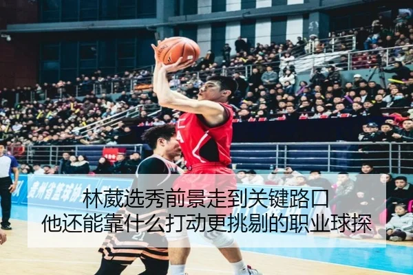 林葳选秀前景走到关键路口 他还能靠什么打动更挑剔的职业球探